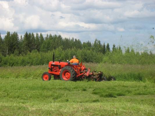 Kesannon niittoa ja maisemanhoitoa
Nuffield 3DL ja Varsta 1200 jauhaa kesantoa pienemmäksi. Tällä yhdistelmällä tuli viime kesän aikaan niitettyä noin 25 ha joista ittelle 3 ha.

Video: http://www.youtube.com/watch?v=itXOQZgU2cM
Avainsanat: Nuffield varsta 3dl 1200 tehokas yhdistelmä