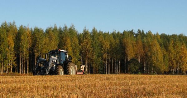 Valtra A93 '12 ja Kverneland E 120 paluuaurat '83
Valtra A93 koeajotraktori (8 h ajettu) sekä hitusen enemmän ajetut kvernelandit syksyisellä karjalaispellolla. 
Avainsanat: valtra hitech a93 kverneland 120 e 3 siipi