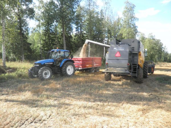 Viljan tyhjennystä..
Sampo ja Nyykkäri
Avainsanat: sampo, new holland