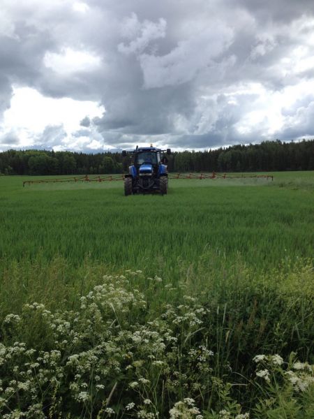 Ruiskutuksia
New Holland ja belarus
Avainsanat: Nh,belarus