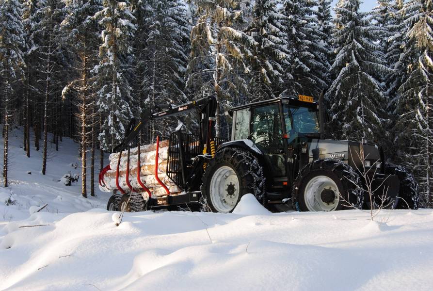 Puun ajoa Hämeen nälkämailla
Valtra A95, Nokka 4372+952
