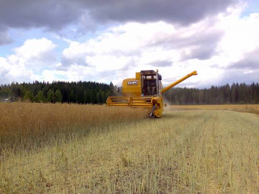 Sampo 680 puimassa rypsiä
Avainsanat: sampo 680