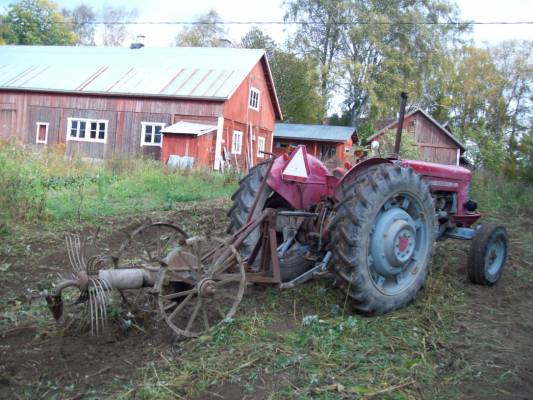 MASSEY-FERGUSON 
masikalla nousee perunat maasta hyvin
