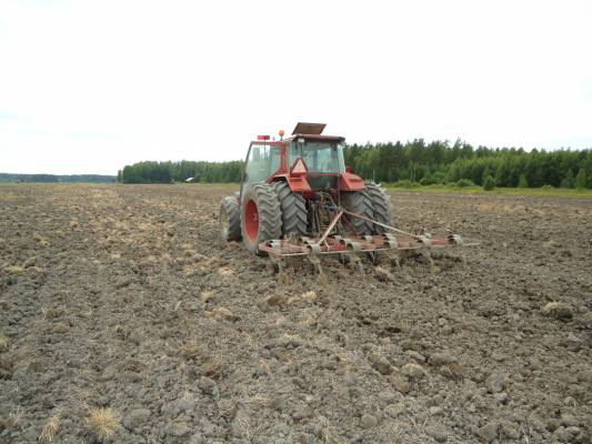 Fiat F130 Ja Kongskilde 420
Kultivointia
