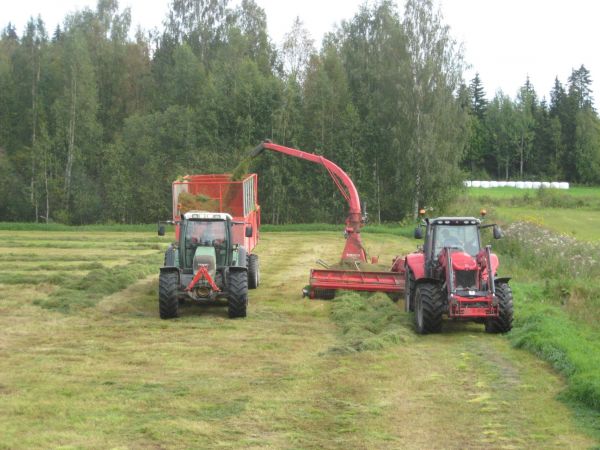 MF+ JF-Stoll ja Fendt+Camion
Pellot kantoi yllättävän hyvin toisessa teossa
Avainsanat: mf jf-stoll fendt camion rehunteko