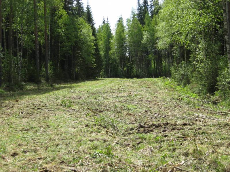 Puskasta pelloks
Niiton jälkeen
Avainsanat: pellonteko