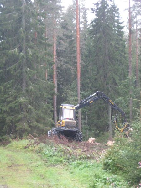 Moto-Ponsse
Hakkuulla
Avainsanat: moto ponsse