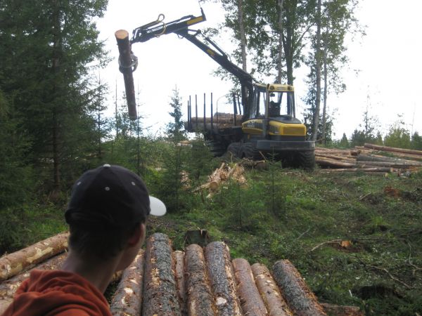 Kuorma-Ponsse
Keräilyä
Avainsanat: ponsse