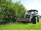 IMG_0650.JPG