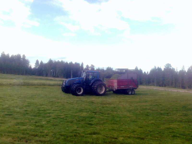 Syysrehu 2011
T-Sarjalainen, Tuhti ja Elho
Avainsanat: Valtra Tuhti Elho