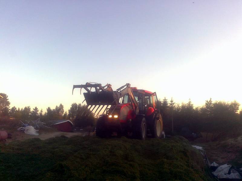 Syysrehu 2011
Ämmäläinen aumalla
Avainsanat: Valtra