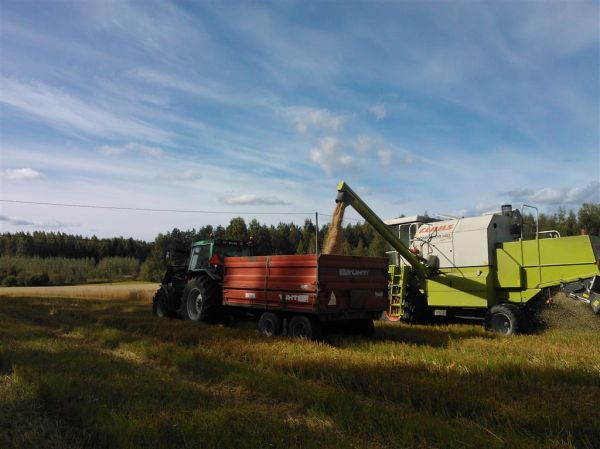 Puinteja 2013
Valtra Valmet 6400 ja Claas Dominator 140
Avainsanat: Valtra Valmet 6400 claas dominator