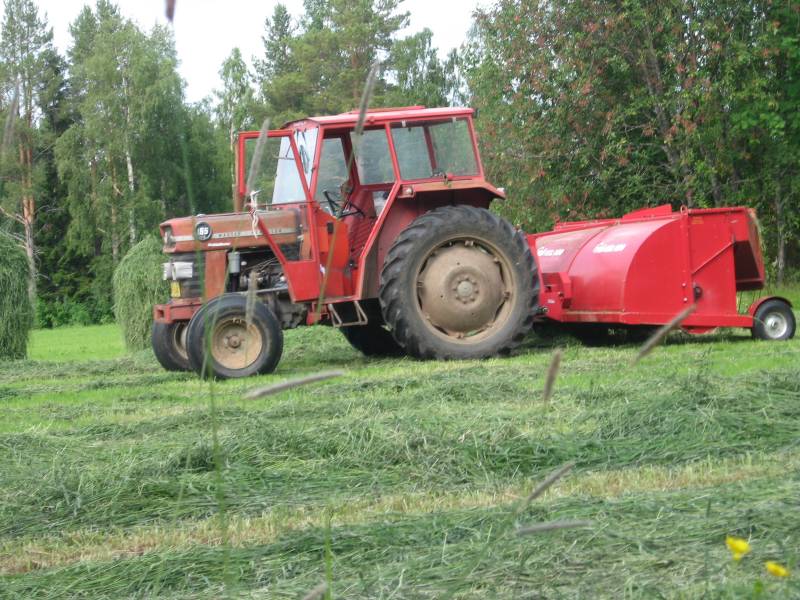 Massey-ferguson 165 ja ylö
Heinähommissa tutulla
Avainsanat: Mf 165