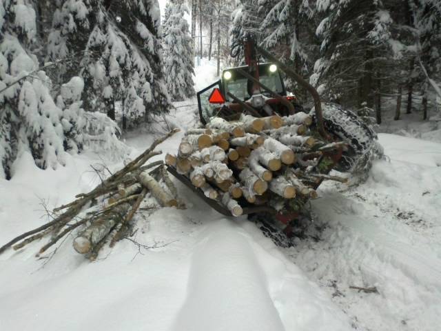 viiatti ja nakki souvari :D
välillä näin
Avainsanat: kaato 1