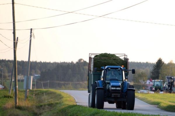 newholland ja multiva
rehua ajamassa kesällä 2014
