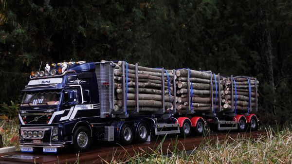 Volvo FM12 Timber B-Trailer
EMEK modification
