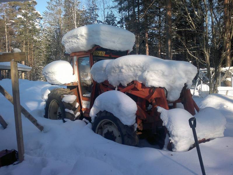 fiude
ja käyntiin niikö palmun alta
