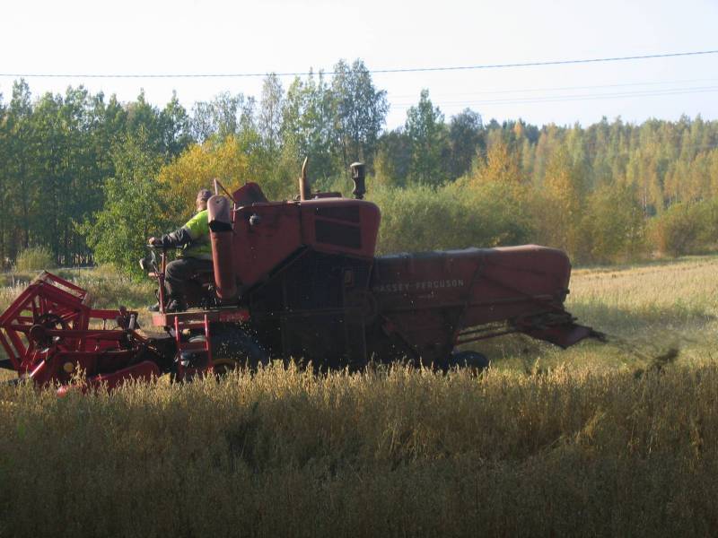 massikka
massikka puimassa kauraa
Avainsanat: masi