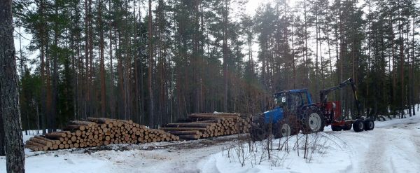 Tukkien ajoa
Valtra 6850 ja farmit
Avainsanat: valtra 6850 farmiforest