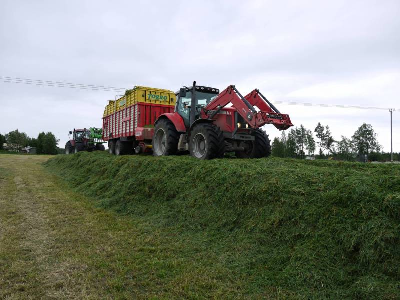 Aumalla
naapuri tuli toisella kärryllä ajamaan kaveriksi niin saatiin auma ja siilo kiinni ennen sateita :) mf 7499 ja pöttinger torro 5700
Avainsanat: mf torro pöttinger 7499