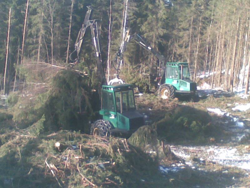 Timberit aukossa
Opettajat haki malli kuormat risuista kurun metsäoppilaitoksella.
