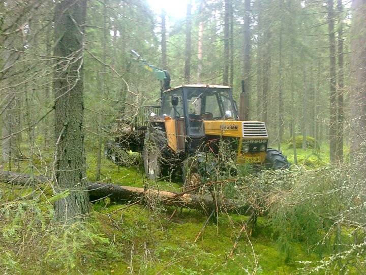 ursuksella mettätöissä
Avainsanat: ursus kire