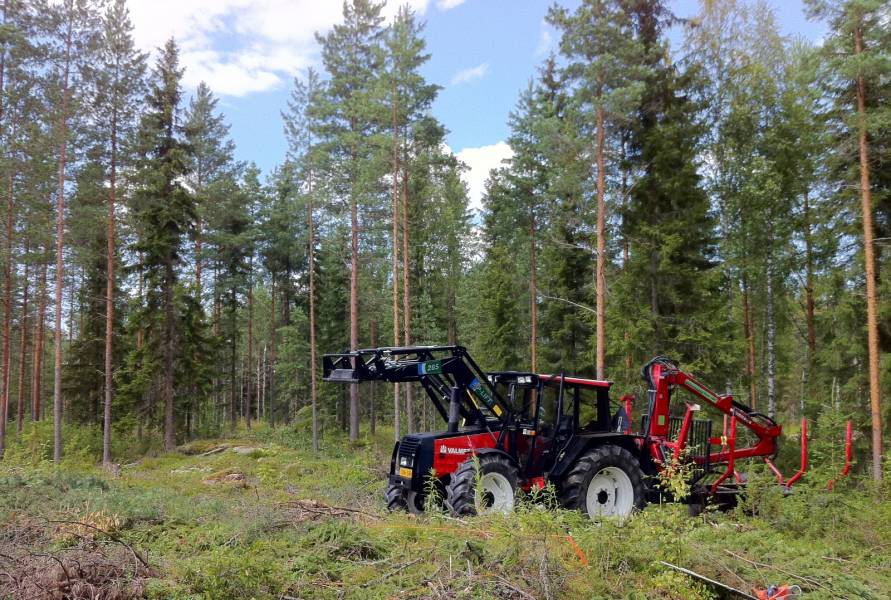 Puunajoa
Mukavat kelit, ulkolämpötilassa reilut 50º eroa edelliseen puunajo kuvaan :)
Avainsanat: puunajoa 805 hakit