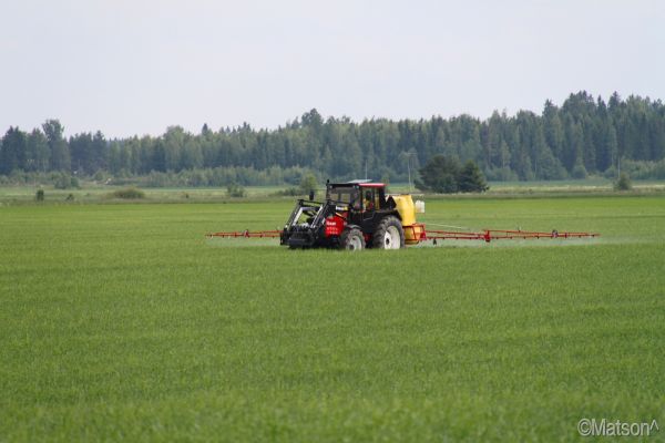 Kesän -13 ruiskutuksia
Toinen annos kasvunsäädettä ja kasvitautien torjunta.
805 & 15m Kasi
Avainsanat: Ruiskutuksia 805 Kasi