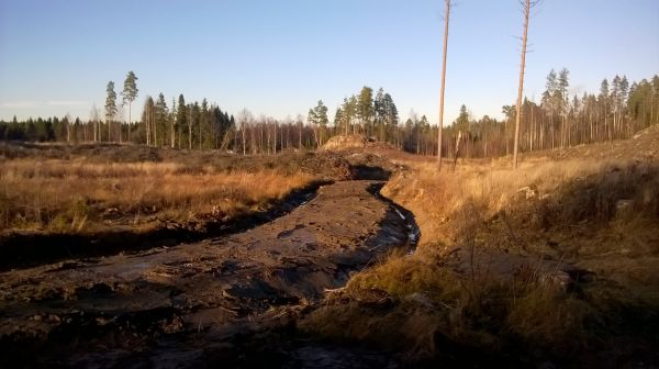 Penkkatie
Kaivuri kävi tekemässä polun.
