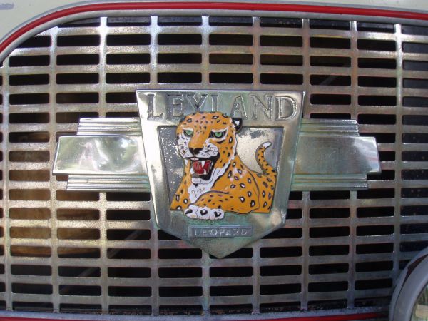 Leyland Leopard
Kissapeto keulassa.
