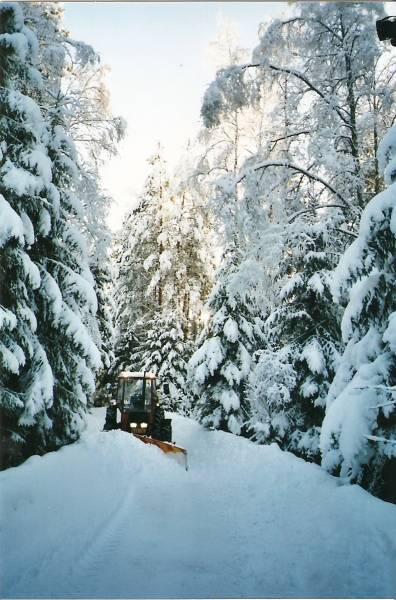 Vallu tuuppaa mökkitietä.
Viime talvena tahtoi aurasta loppua siivenkorkeus kesken.
