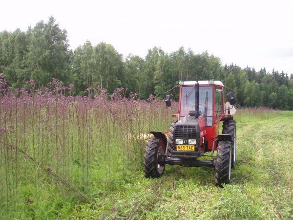 Ei koskaan enää viherkesantoa!
Tämmöistä tuli kun viljapelto jätettiin kesannolle. Ensi keväänä viljalle takaisin.
