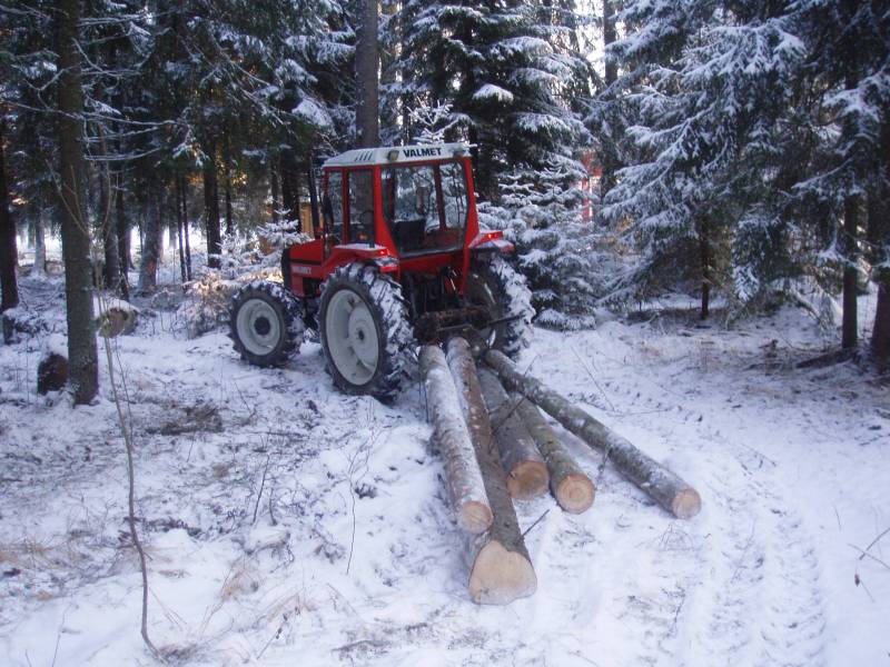 Köyhän miehen metsävarusteet: lovipankka ja juontoketjut.
Tapanin myrskyn jälkiä korjaamassa.
