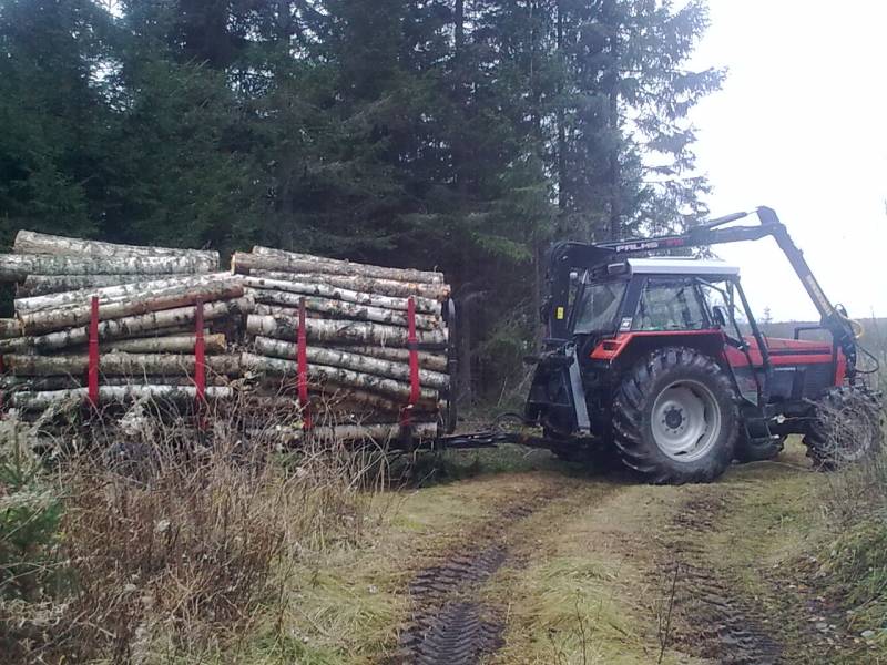 ursus 914, palms 610 ja omatekoinen mettäkärry
kyydissä 2 metriistä koivua
