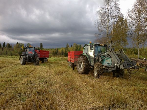 Puintia 2012.
Taivaanranta näyttää pahalle joten vauhti kiihtyy. Valmetit ja junkkarit mukana.
Avainsanat: Valmet junkkari puinti