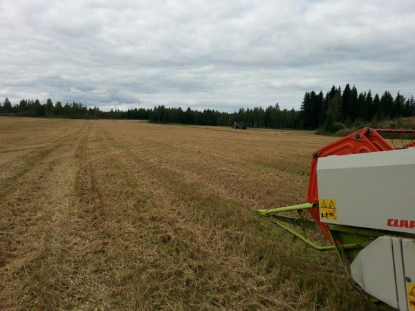 Tappuroinnin tynkää.. 
Streif -ohran puintia :)
