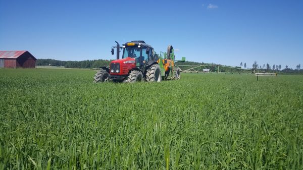 Ohran ruiskuttelua aikaisemmin kesältä. 
Avainsanat: massey ferguson 4455