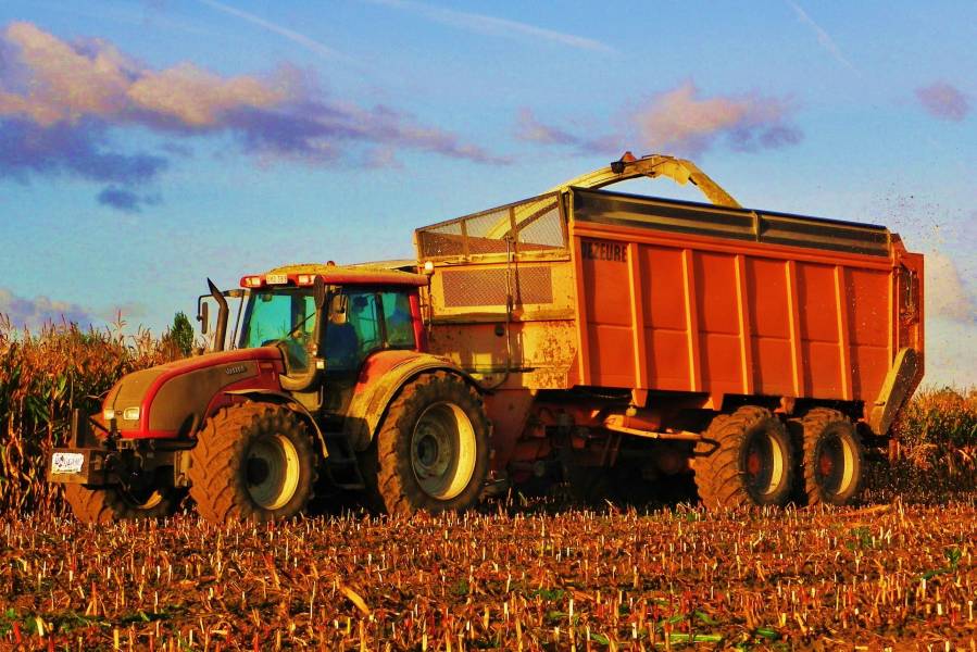 T 190 in Belgium
Valtra T 190 with Dezeure silage-wagon.   Contractor Hoornaert-Rogghe bvba, Vinkt, Belgium.
