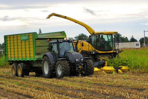 Other black T 202 in the Netherlands
Contractor Timmermans from Rosmalen, The Netherlands with his New Holland FR 9060 harvester and Valtra T 202 with Joskin hauler.
