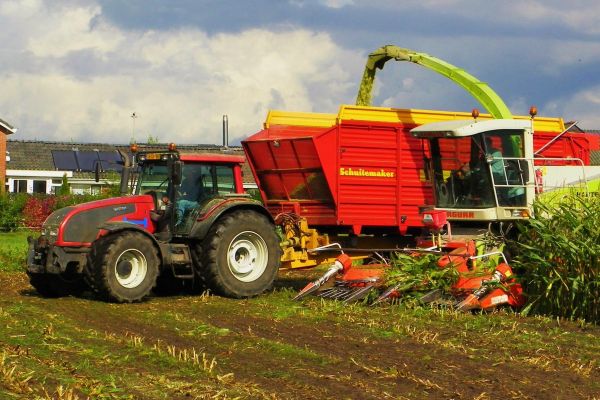 Maize Harvest in the Netherlands
Valtra T191 with Schuitemaker wagon and Claas 840 harvester from contractor Hartemink during maize-harvest 2012 near Sinderen, The Netherlands
