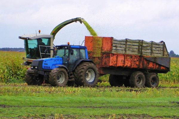 Valtra 8550 Netherlands
Farmer from Lemmer, The Netherlands with Valtra 8550 harvesting maize-silage.
