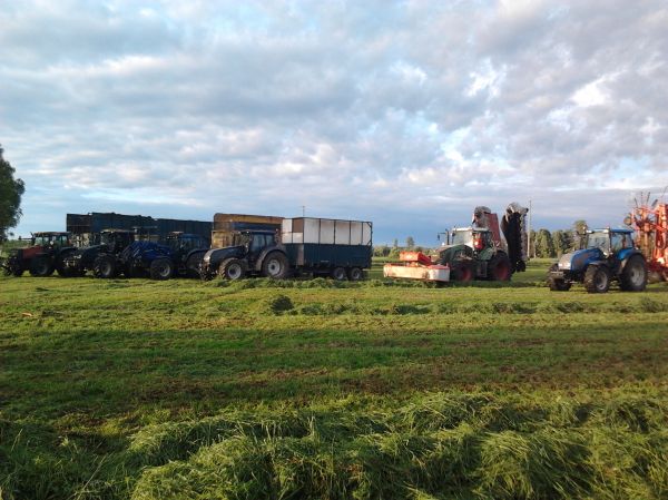 rehuntekoa
valtra 8550, t130, 8950, t182v, t160 ja fendt 924
2xmutiva tr210, peecon, palms ja kuhn perhonen ja 15m karhotin
Avainsanat: valtra rehuntekoa fendt multiva palms kuhn