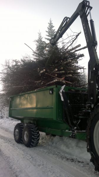 Tien varresta joutessani poimin moton jäljiltä risut ja latvukset kyyville. Kourana toimi Nisulan E175
