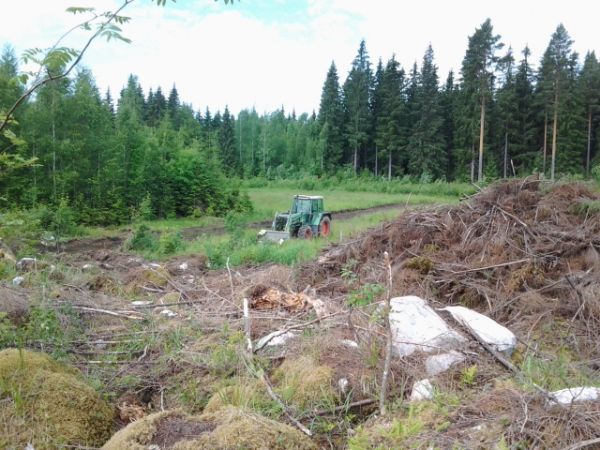 Kuusentaimien vientiä
Fendt 310 Farmer.
