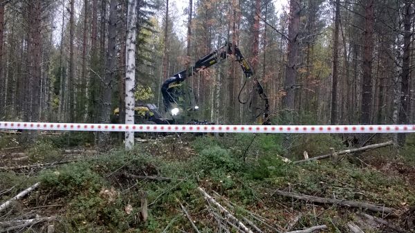 Sukevan metsäpäivä 2013
Ponsse scorpion
Avainsanat: ponsse