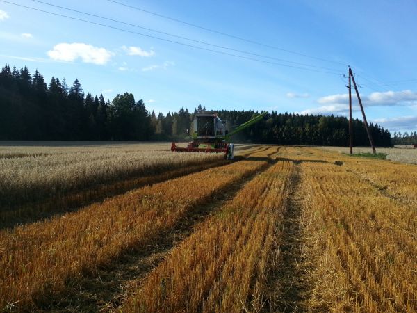 Claas Dominator 150
Ingeborg kauran puintia
Avainsanat: claas dominator 150