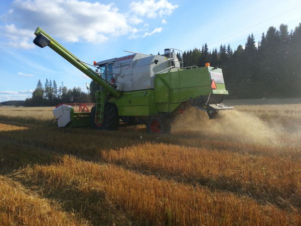 puintia 2012
Ingeborg kauran puintia. Claas Dominator 150
Avainsanat: claas dominator 150