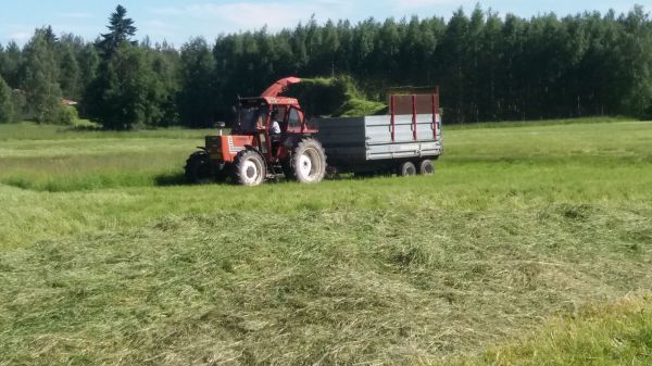 Rehunteko 2016
Vanhalla hyväksi havaitulla kalustolla. Valmetti paketilla levittämässä.
Avainsanat: Fiat tuhti junkkari rehunteko