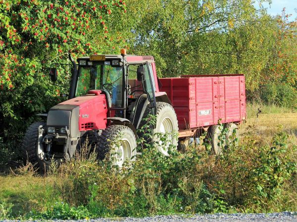 Valtra ja Pehtoori 
Avainsanat: Valtra Pehtoori