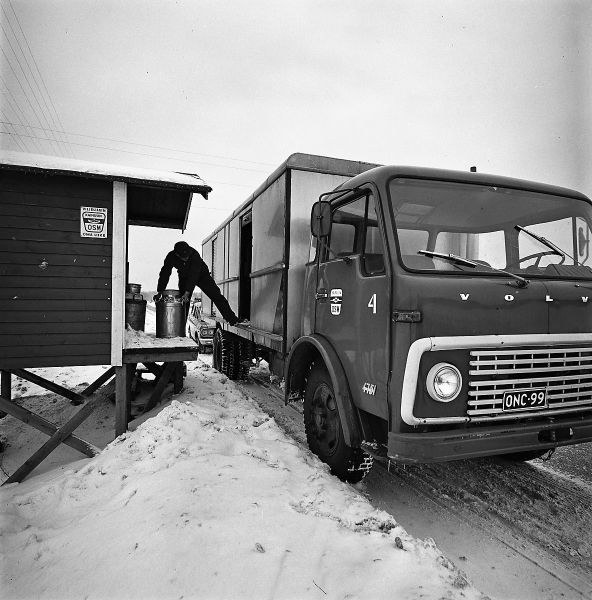 Kainuun osuusmeijerin Volvo 475 tonkka-auto

Umpikaapit yleistyivät keräilyssä ja ne soveltuivat myös jakeluajoon. Umpikaapit eivät  tulleet kuitenkaan yhdessä yössä ja avolavaisia tonkka-autoja saattoikin nähdä vielä  70-luvvun löppupuolella liikenteessä.  Peltisten  kaappien tilalle uusille alustoille alettiin  tehdä lasikuidusta korit ja  ne  siirtyivät  täysin lakeluajoon .
Avainsanat: Volvo Meijeri